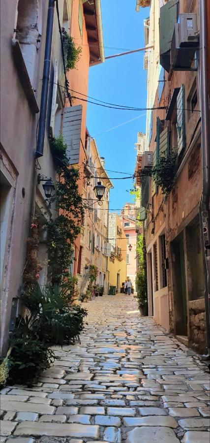 B&B Palace Basilico 1580. Rovinj Ngoại thất bức ảnh