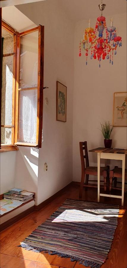 B&B Palace Basilico 1580. Rovinj Ngoại thất bức ảnh